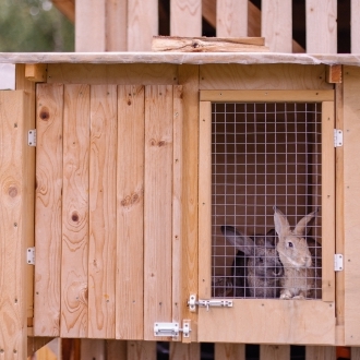 houten konijnenhok konijnenhok bouwen materialen konijnenhok 