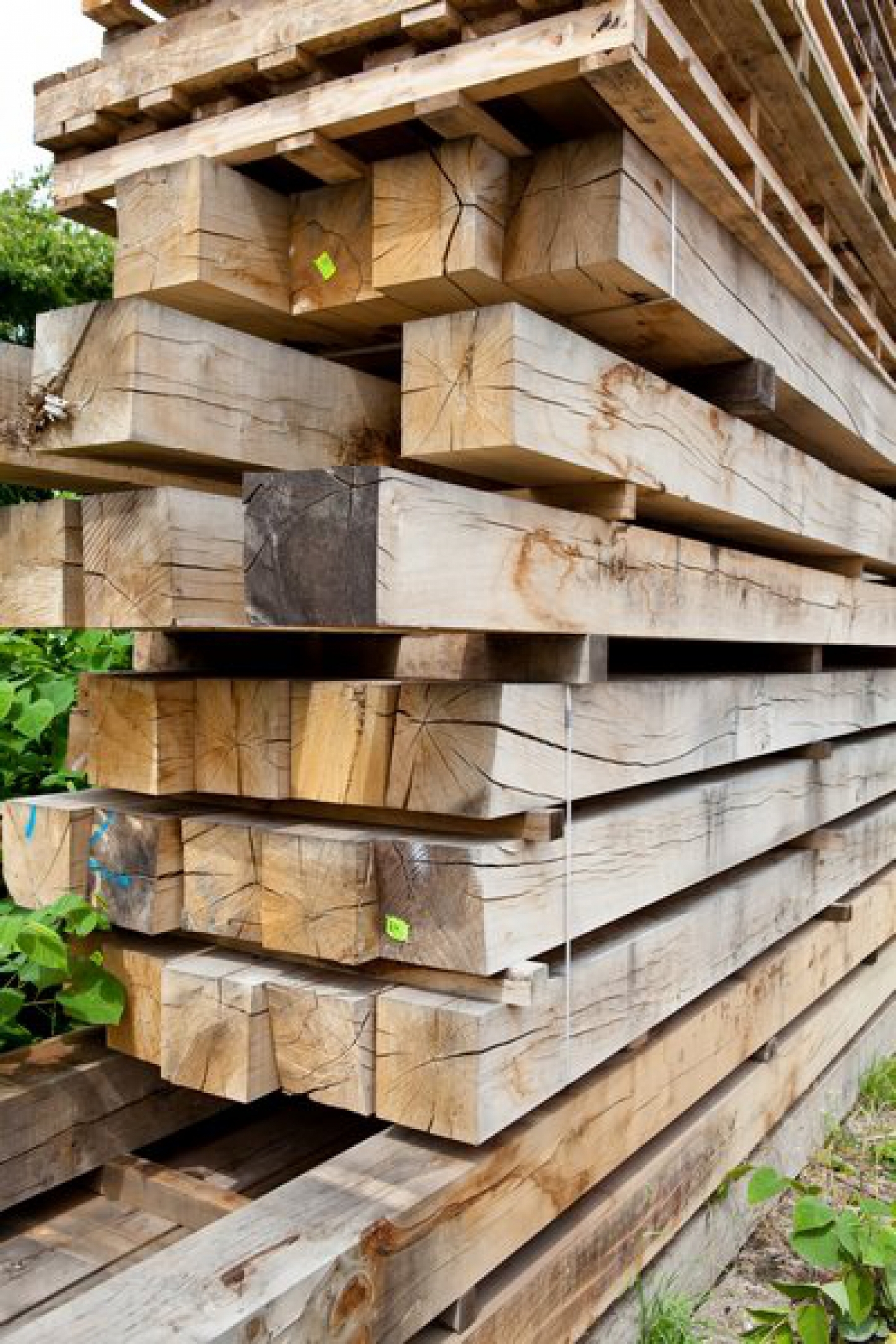 Soorten massief hout en hun toepassingen.